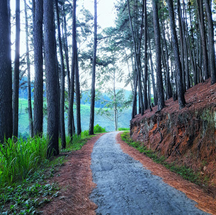 Eco Sustainable Tours Sri Lanka